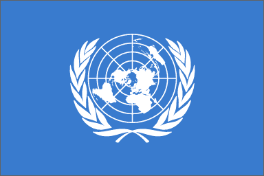 U.N. check up