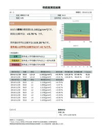 測定結果レポート