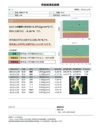 測定結果レポート